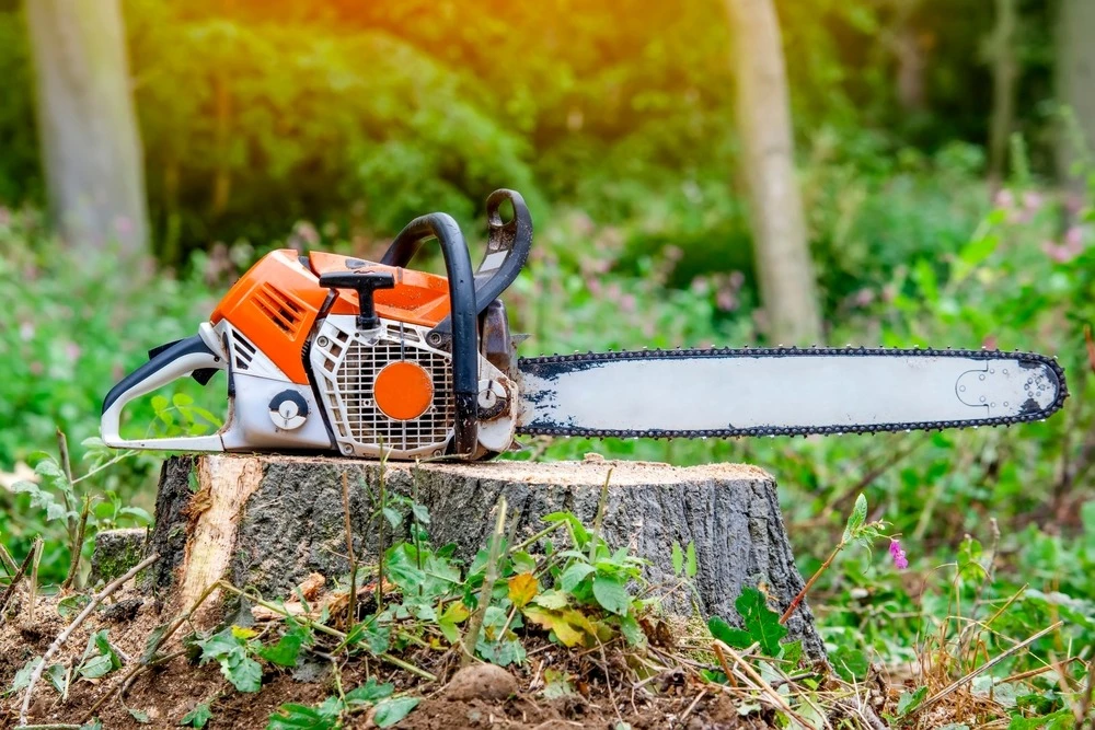 gasoline-powered chainsaw resting on a tree stump